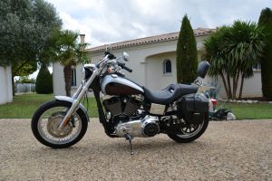 Sacoche Myleatherbikes Harley Dyna Low Rider (18)